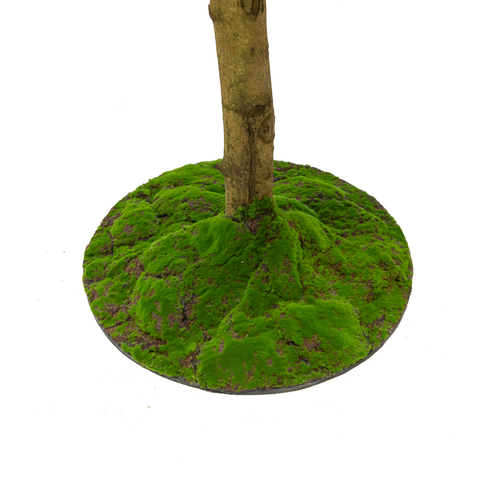 250/ШК/34(з.) Фикус h250см(латекс)_3