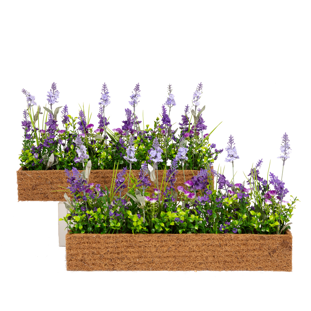 Б007-2 Бордюр Лаванда (фиолетовая) h25см  в кокосовом боксе 50*7*8_4