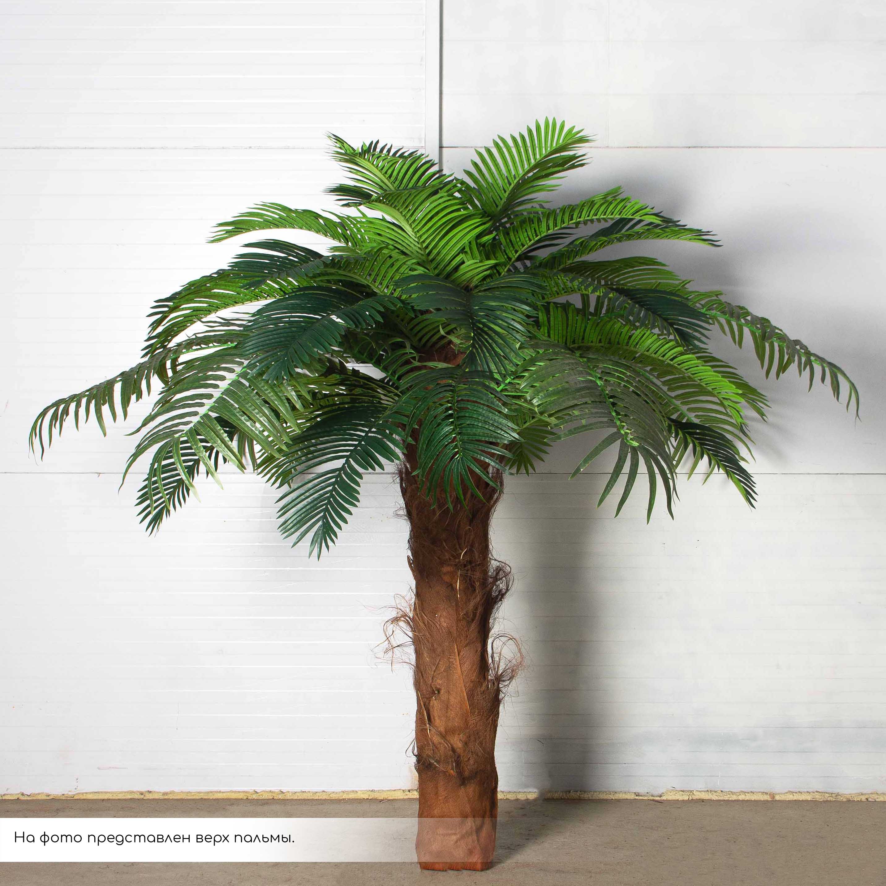 ПС400Разб/ТР/49(Пр)(F) Пальма Арека искусственная h400см (латекс) на мет.основании_6