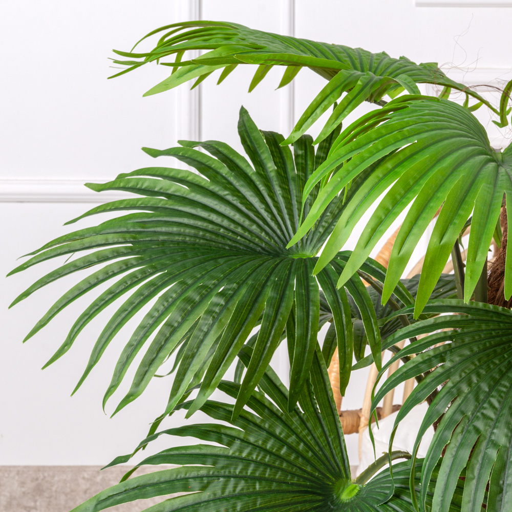 П120/404(х)(Fix)(Пр) Пальма веерная h120см (латекс)_6