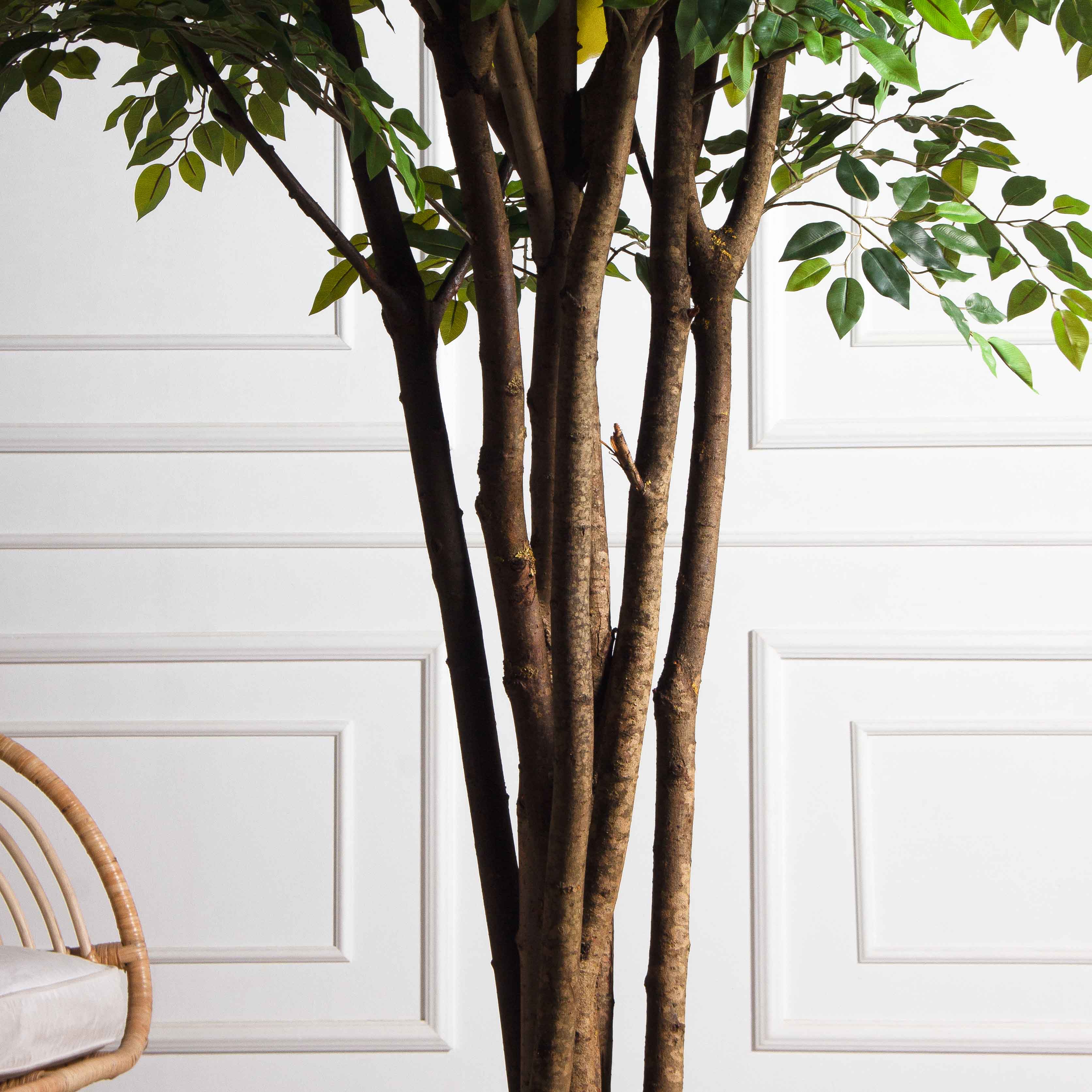 250/РН/20М-1(з)(УУ)(Пр)(F) Лимон искусственный h250см d200см, латекс_6