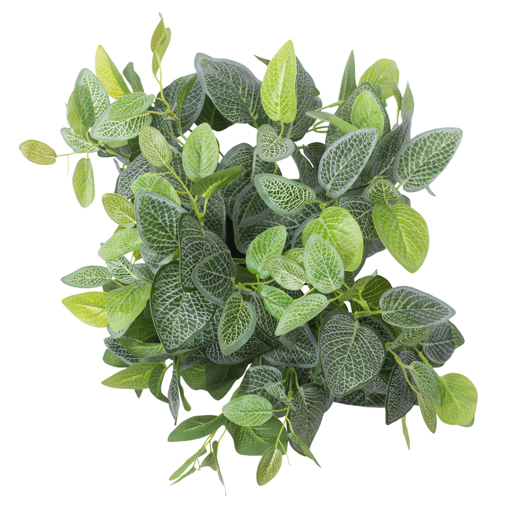 БК 41 Композиция с фиттонией на блоке 15*h10_2