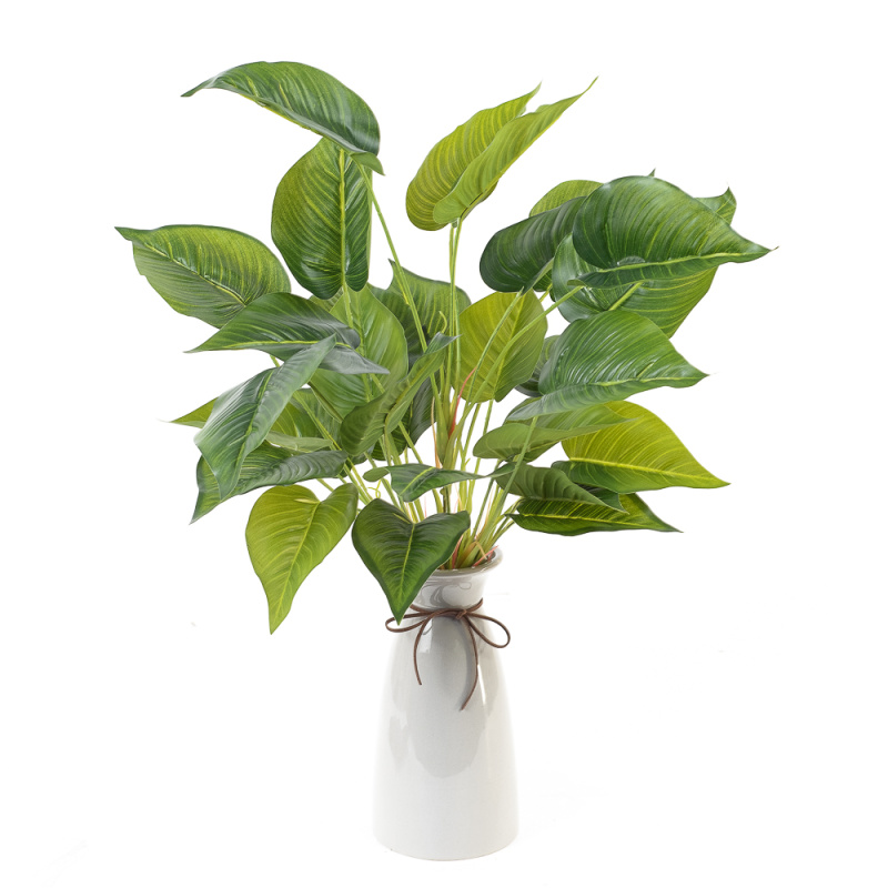 7143/9175-7 Сциндапсус средний куст (латекс)