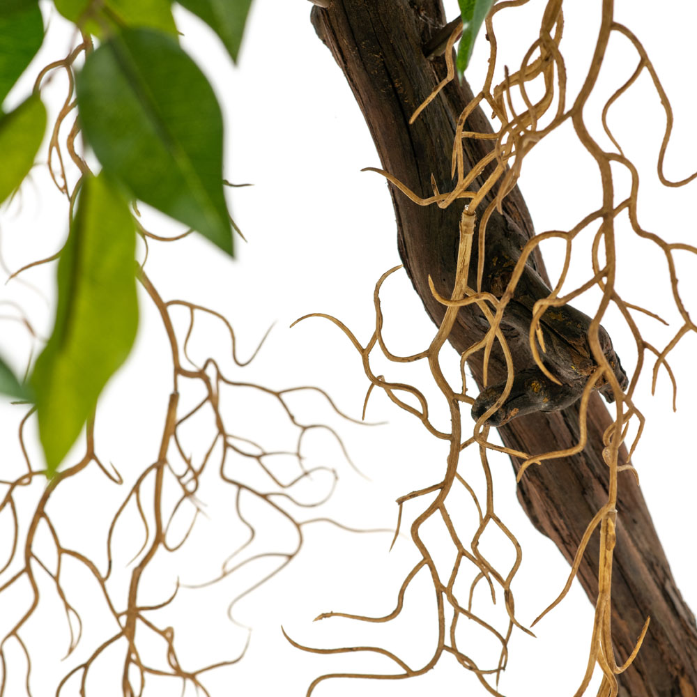 180/ОС/300 Фикус мелкий (латекс) h-180см_2