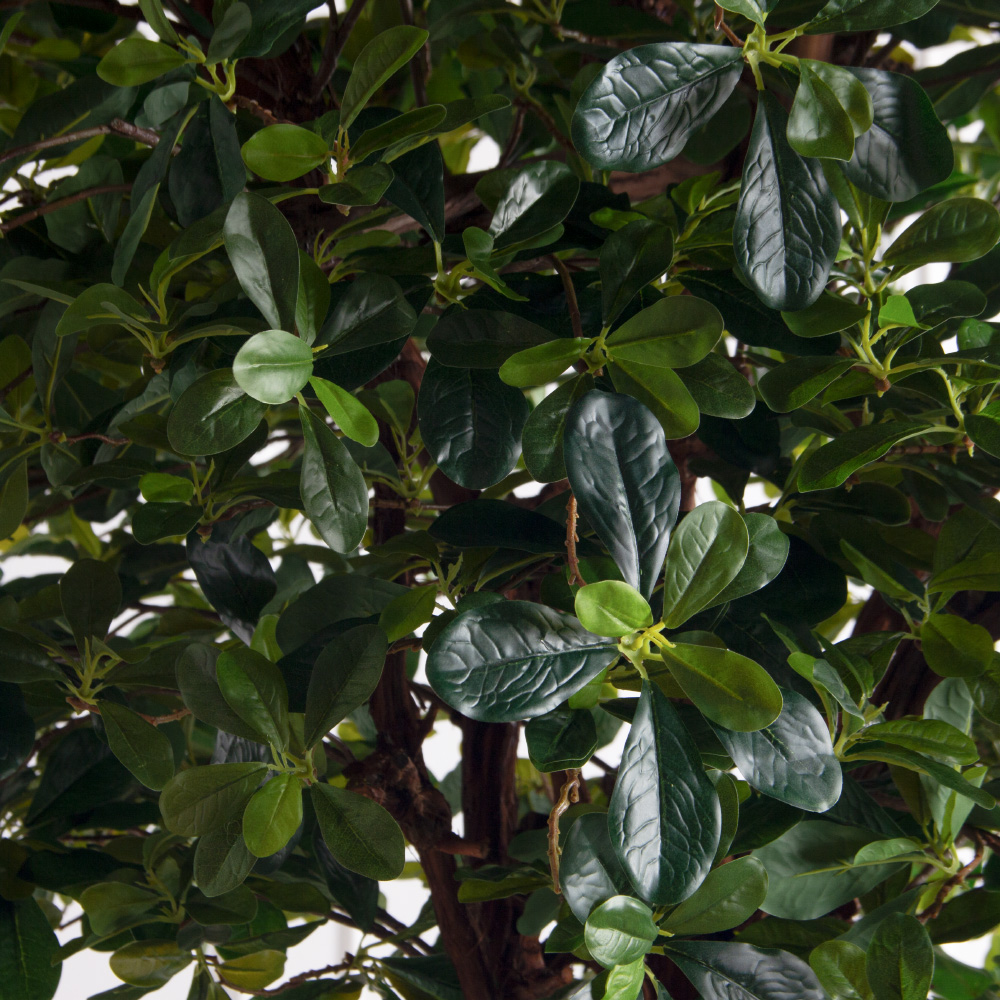 260/ОС/84(з)(F) Шеффлера искусственная h260см d130см (латекс)_7