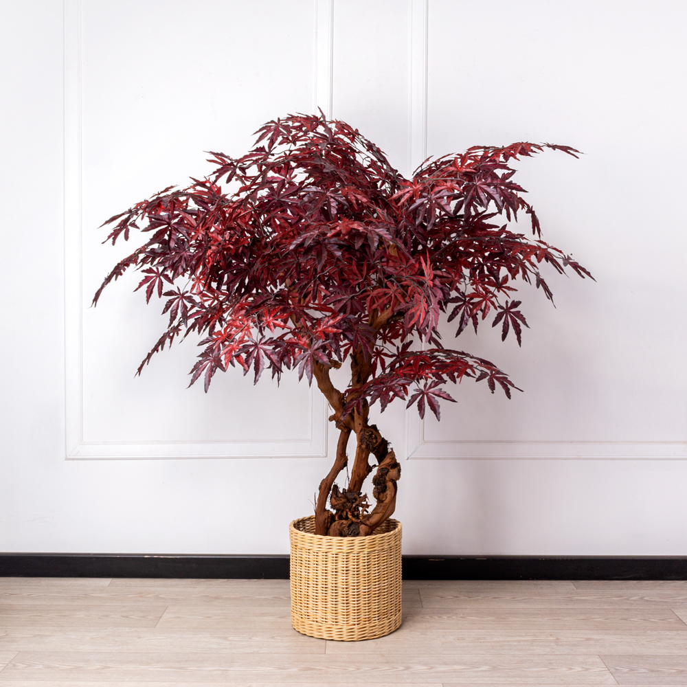 Деревья осенние