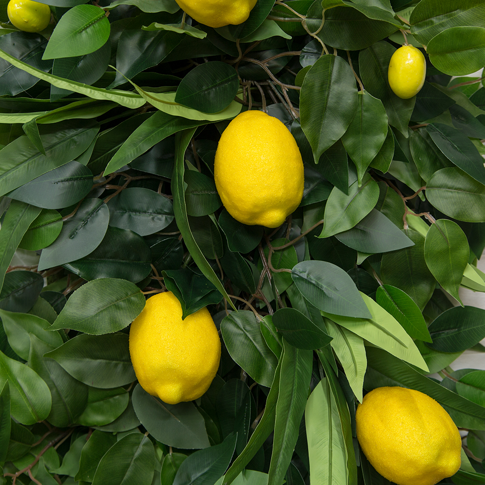 Фитостена 003/2 Ветка декоративная с зеленью и лимонами, 1кв.м_2