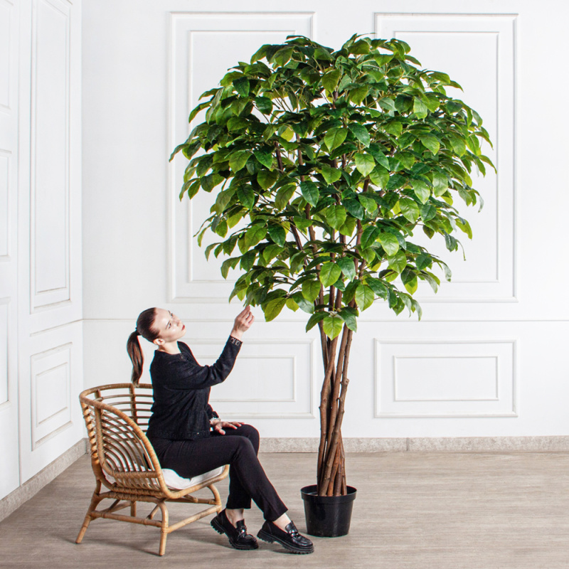 250/РН/537(з)(F) Липа искусственная h250см в кашпо (латекс)_1