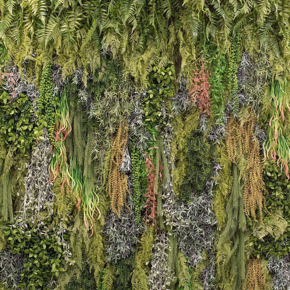 Фитостена 76(з)_2