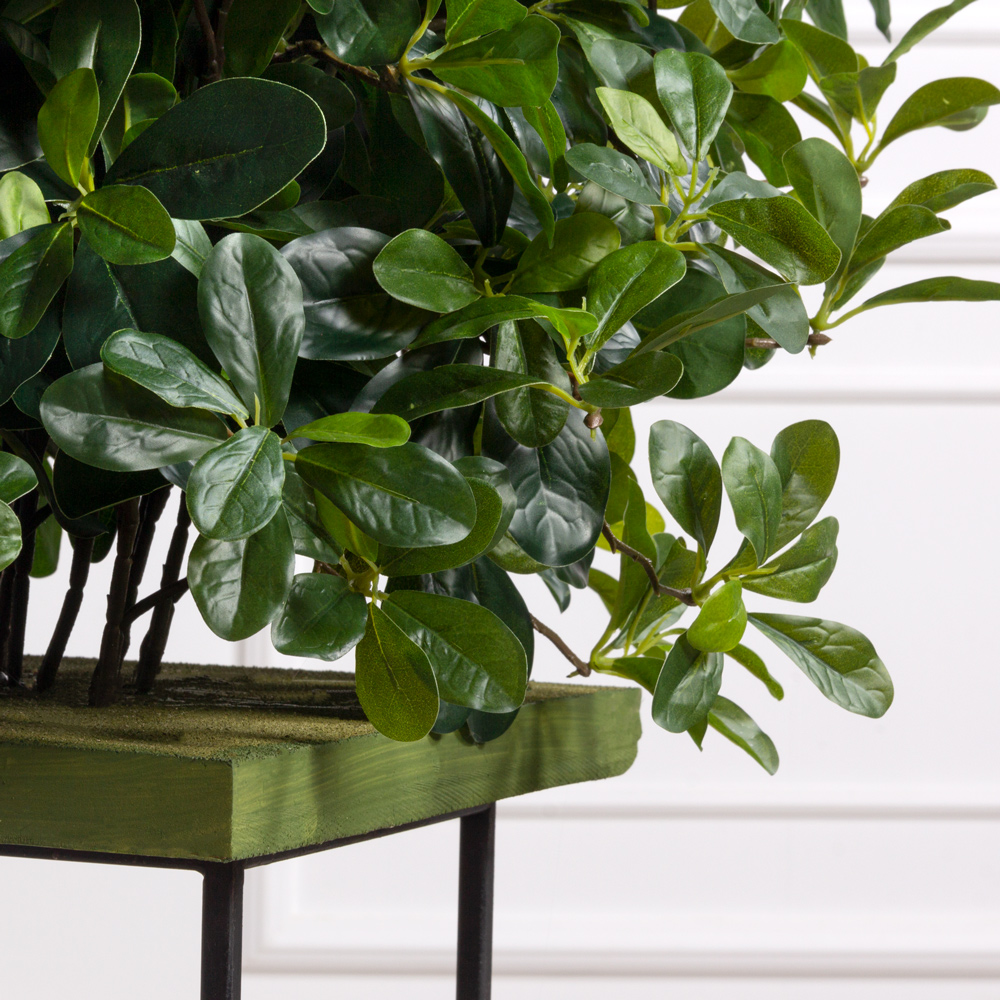 ВМ7-1(F) Вставка модуль Шеффлера куст h55см (латекс)_1