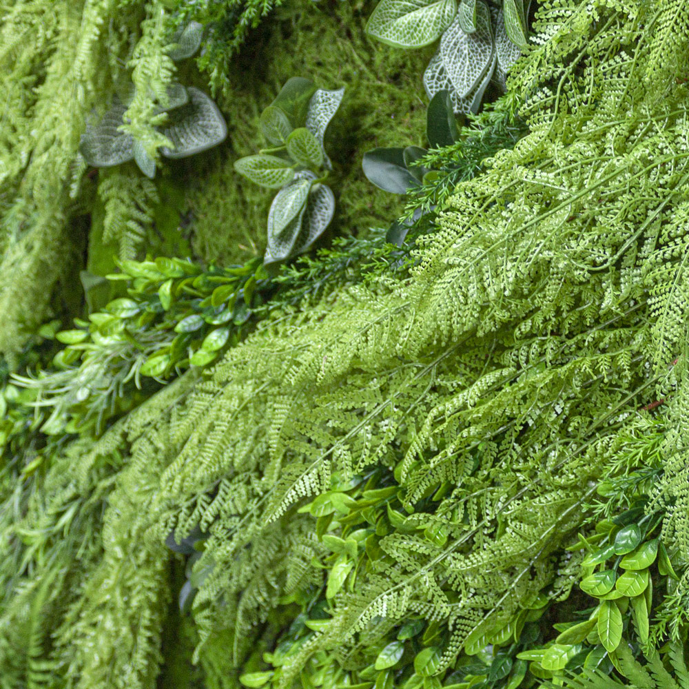 Фитостена 110-1_2