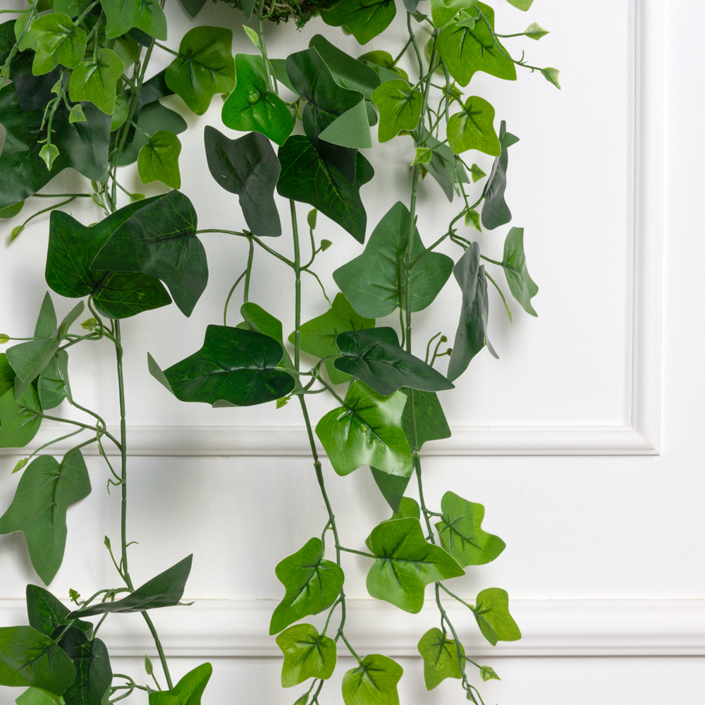 ККД49/74(з)(F) Кокедама искусственная с плющем хедерой d10см_1