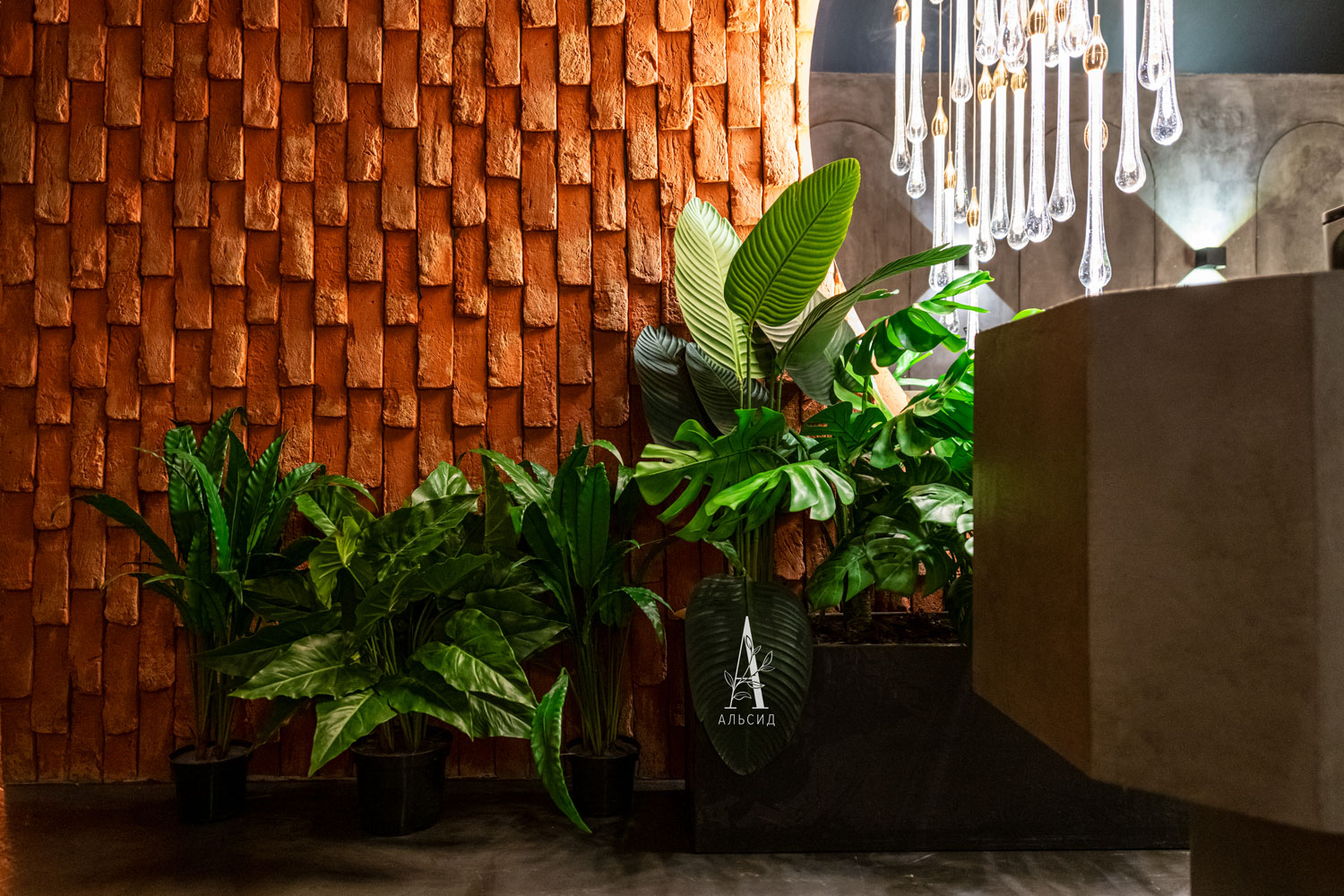 К070*5 Каладиум искусственный большой куст в кашпо h70см (силикон), в кашпо_2