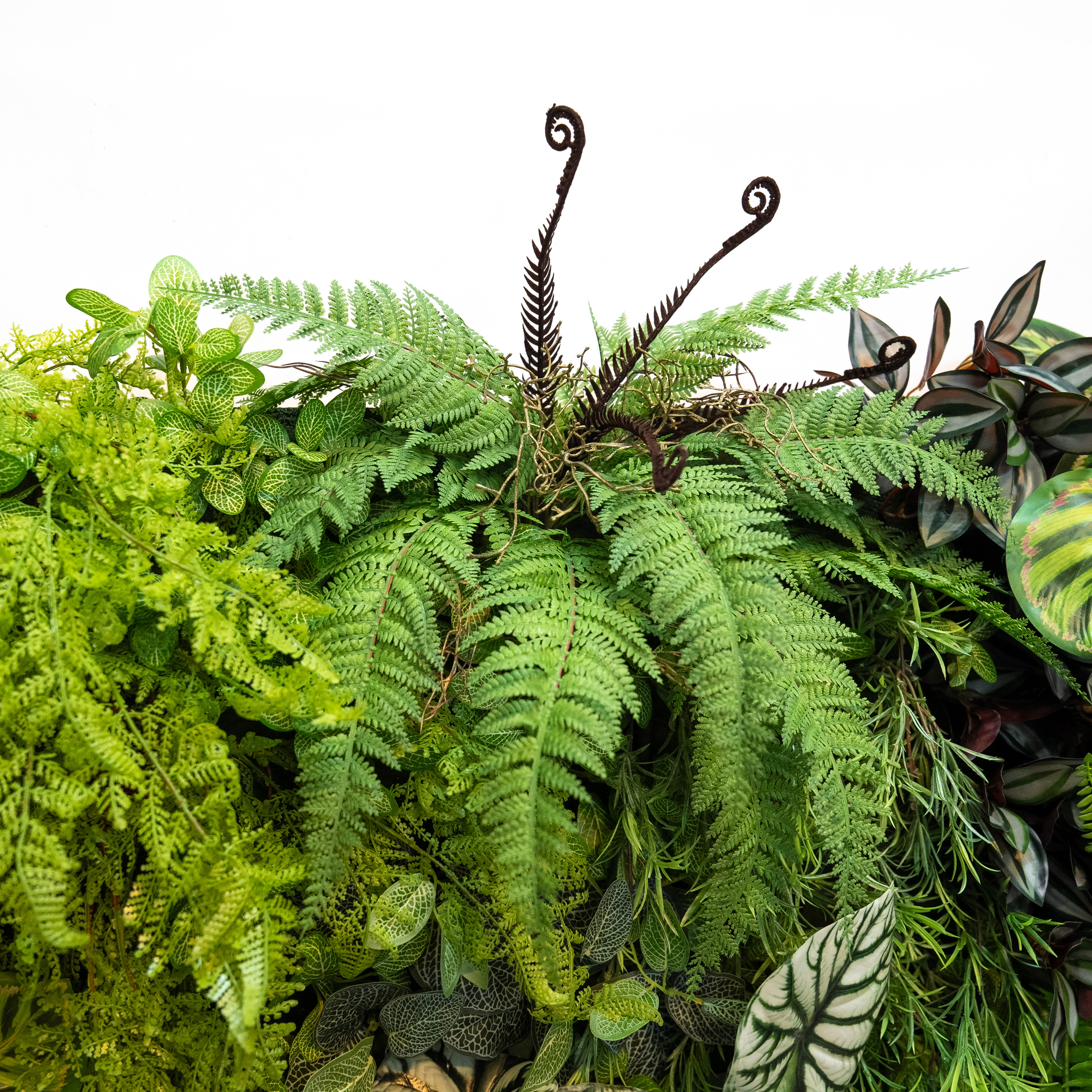 ФТС156-1 Фитостена _6