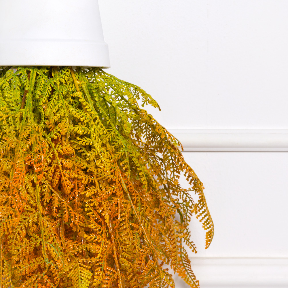 СП08-1/1(F) Sky Planter Даваллия(оранж)h20 в кашпо (11*10см)_1