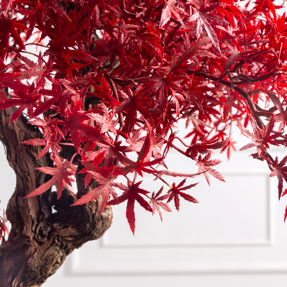 БЛ065/ОС/606(Пр)(F) Клен искусственный веерный, мелкий h60см на основании_2