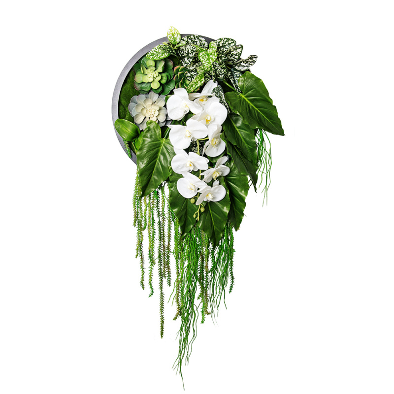 Фитопанно 04-2(з.) с орхидеей d55см_1