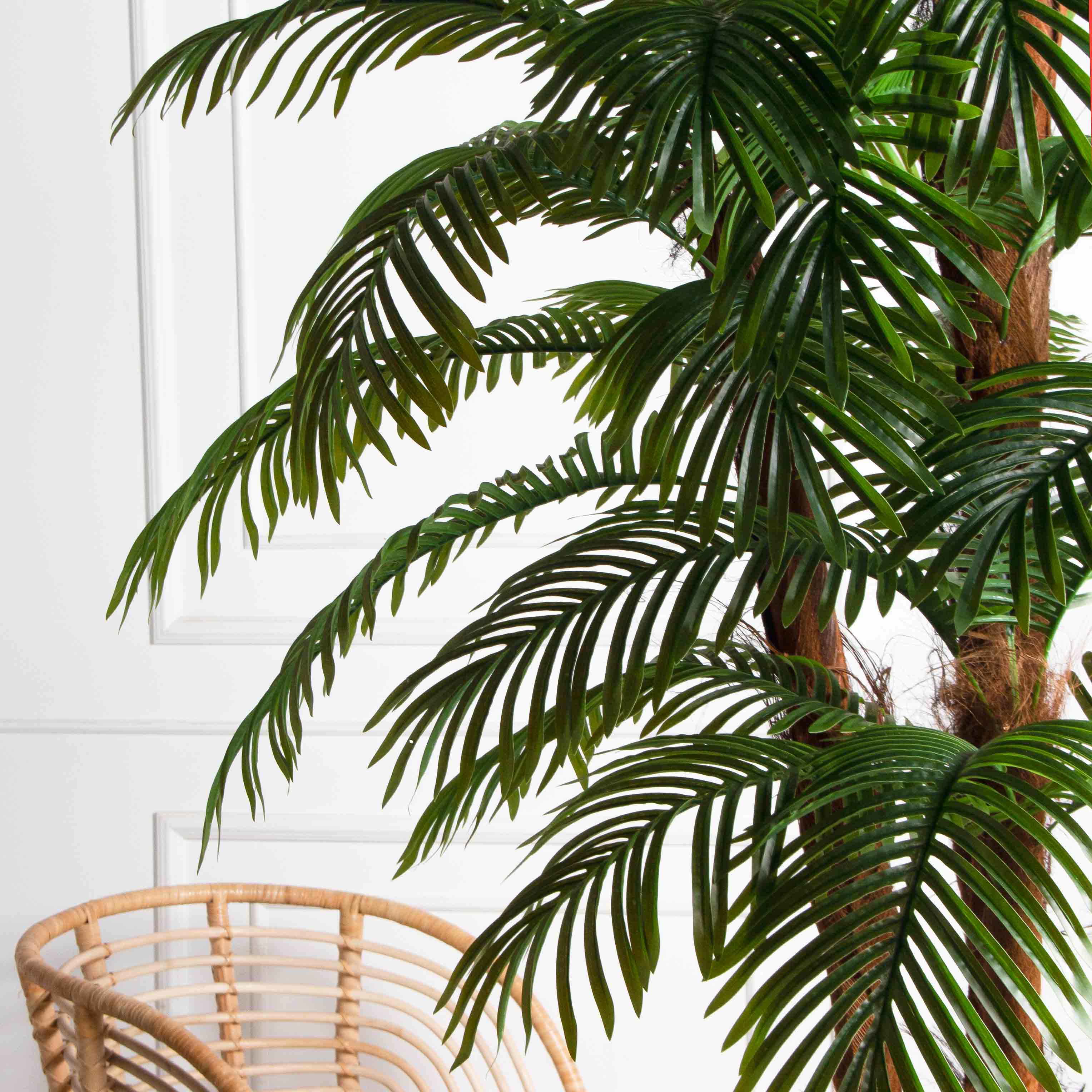 ПС270/5К/49Л(з)(F) Пальма Арека искусственная h270см, d140-150см (латекс)_4