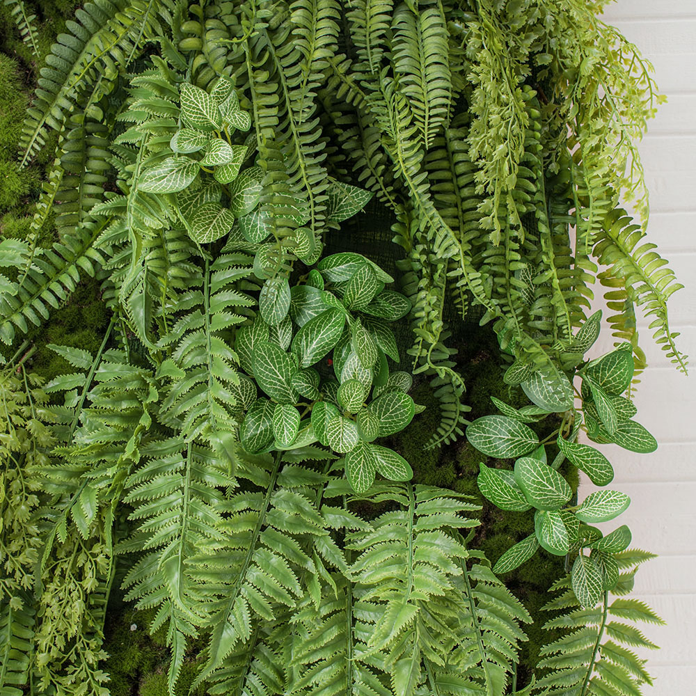 ФК04(з.) Фитокартина с зеленью (44х h105см)_3