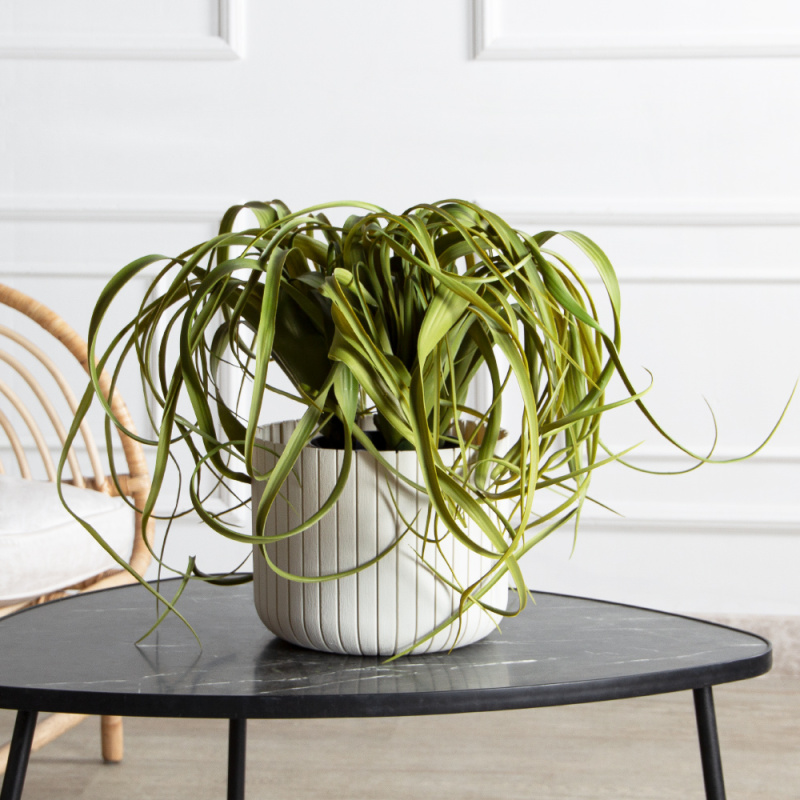 К571(з)(F) Композиция искусственная с тилландсией в кашпо_1