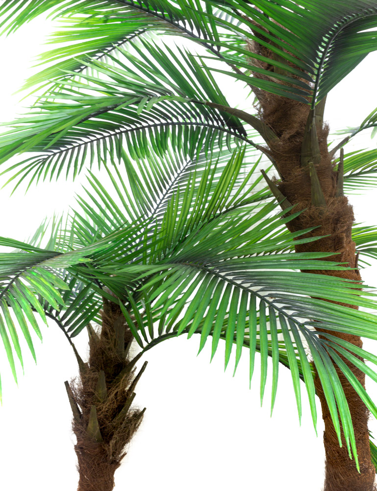 П245/2С/453(Х) Пальма искусственная финиковая h245см_2