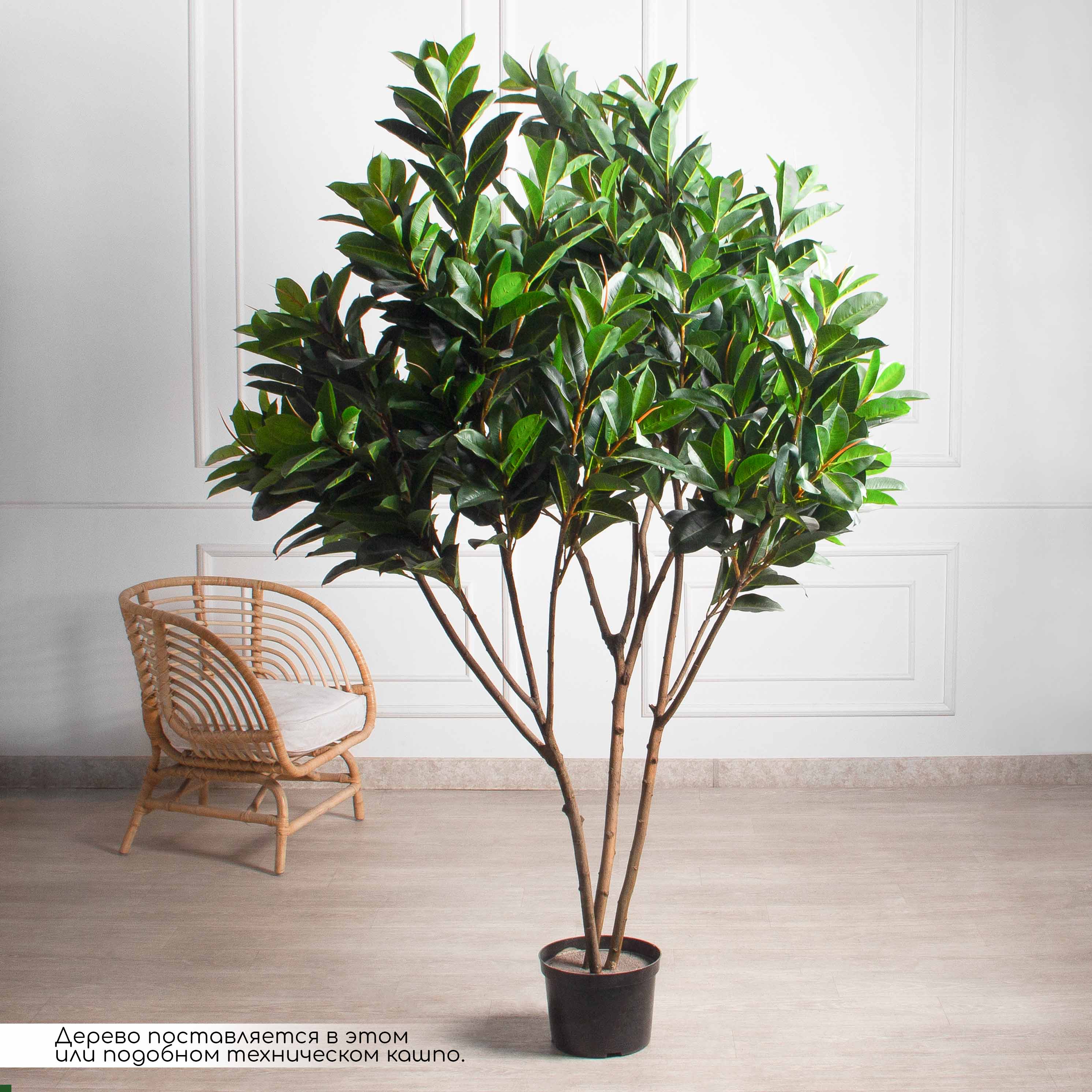 240/К/418(з)(Пр)(F) Фикус искусственный Эластика  h240см, латекс_2