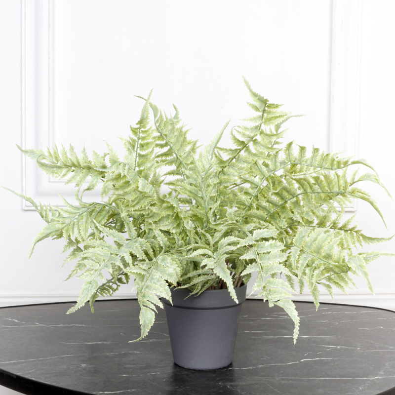 КС102 Папоротник искусственный Циртомиум в кашпо d11см