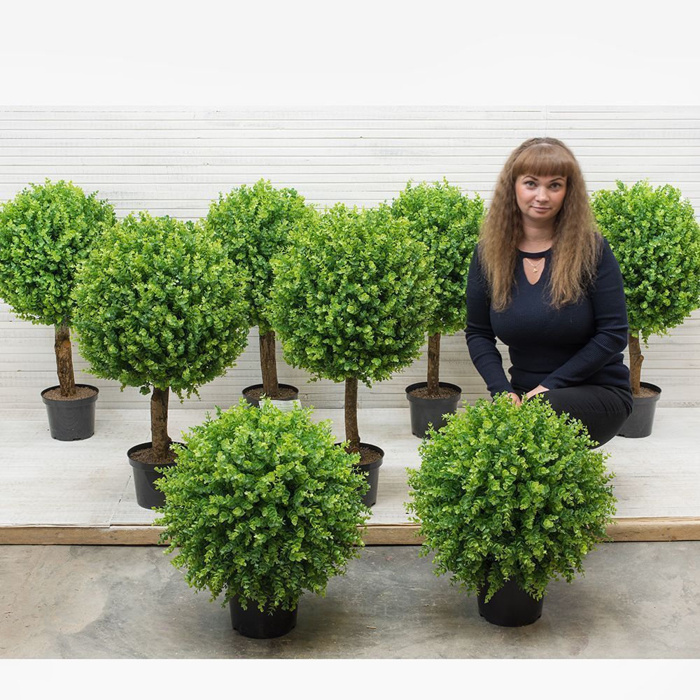 СШ85/228/1(з.) _2