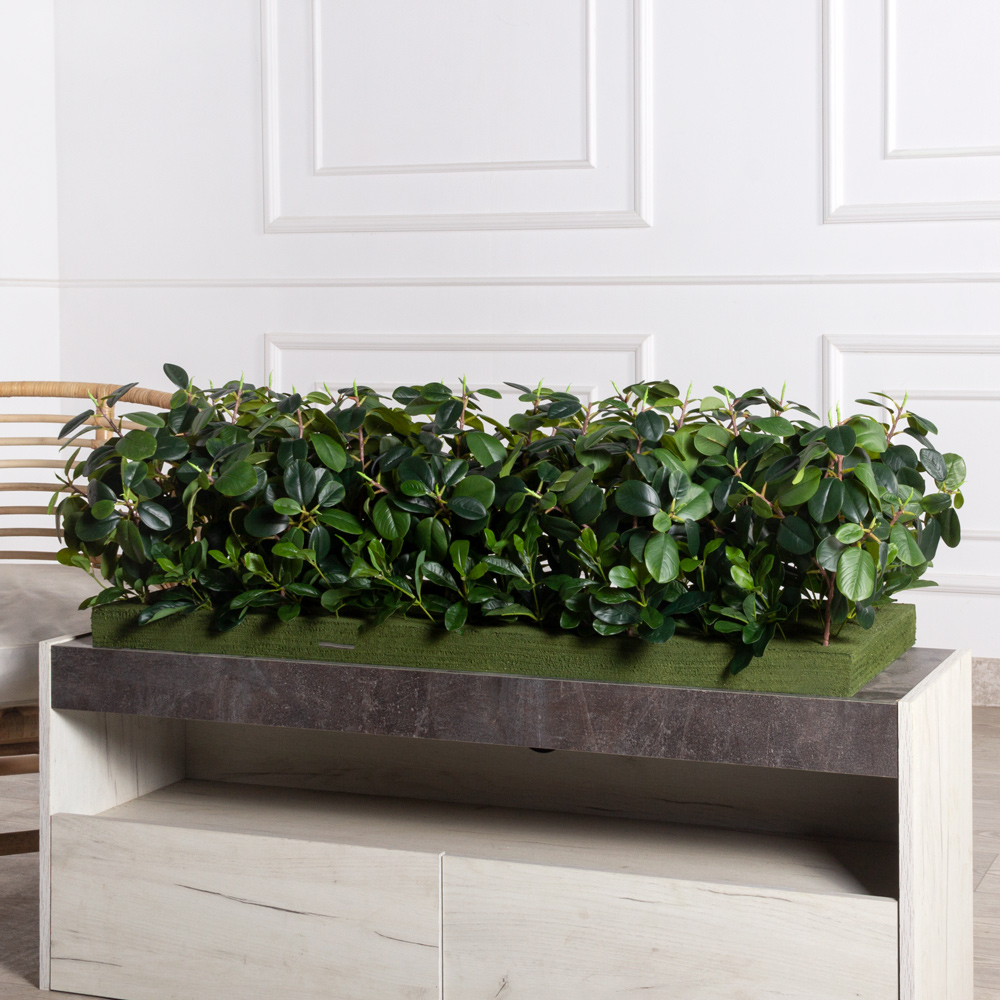 ВМ82(з)(F) Композиция искусственная Микс фикус с питтоспорумом на вставке 98х35х5см_1