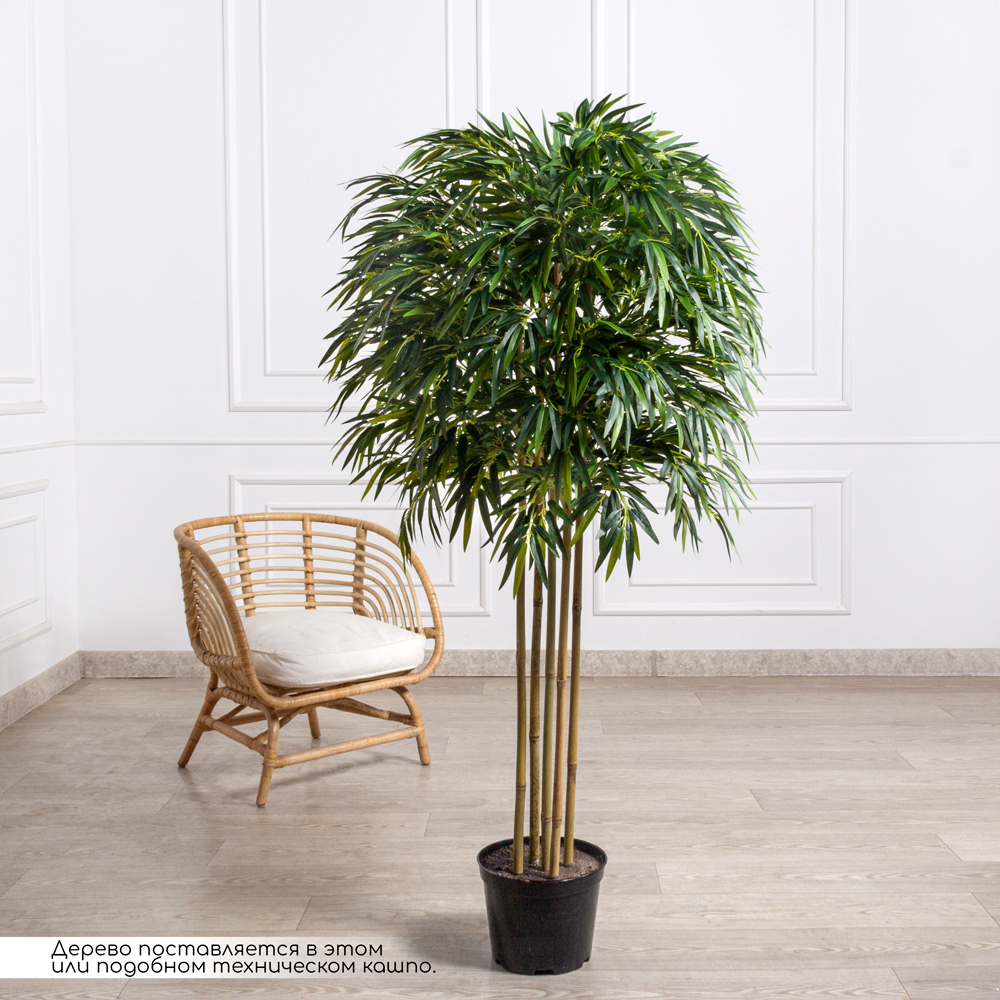 170/ШК/75-1(Пр)(F) Бамбук искусственный 5 стволов, h170см (латекс премиум)_1