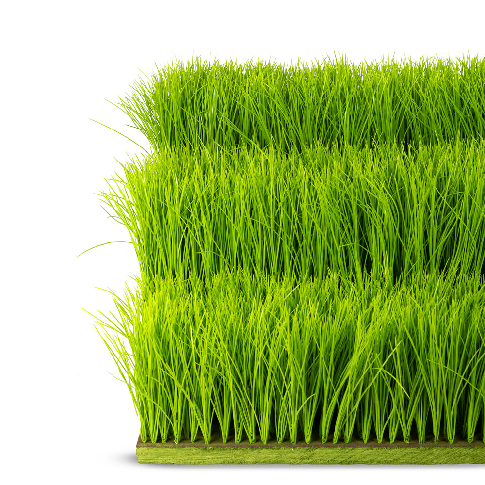 ТД058-15/1(з) Трава Осока h 20см на основании (84*17*3)_3