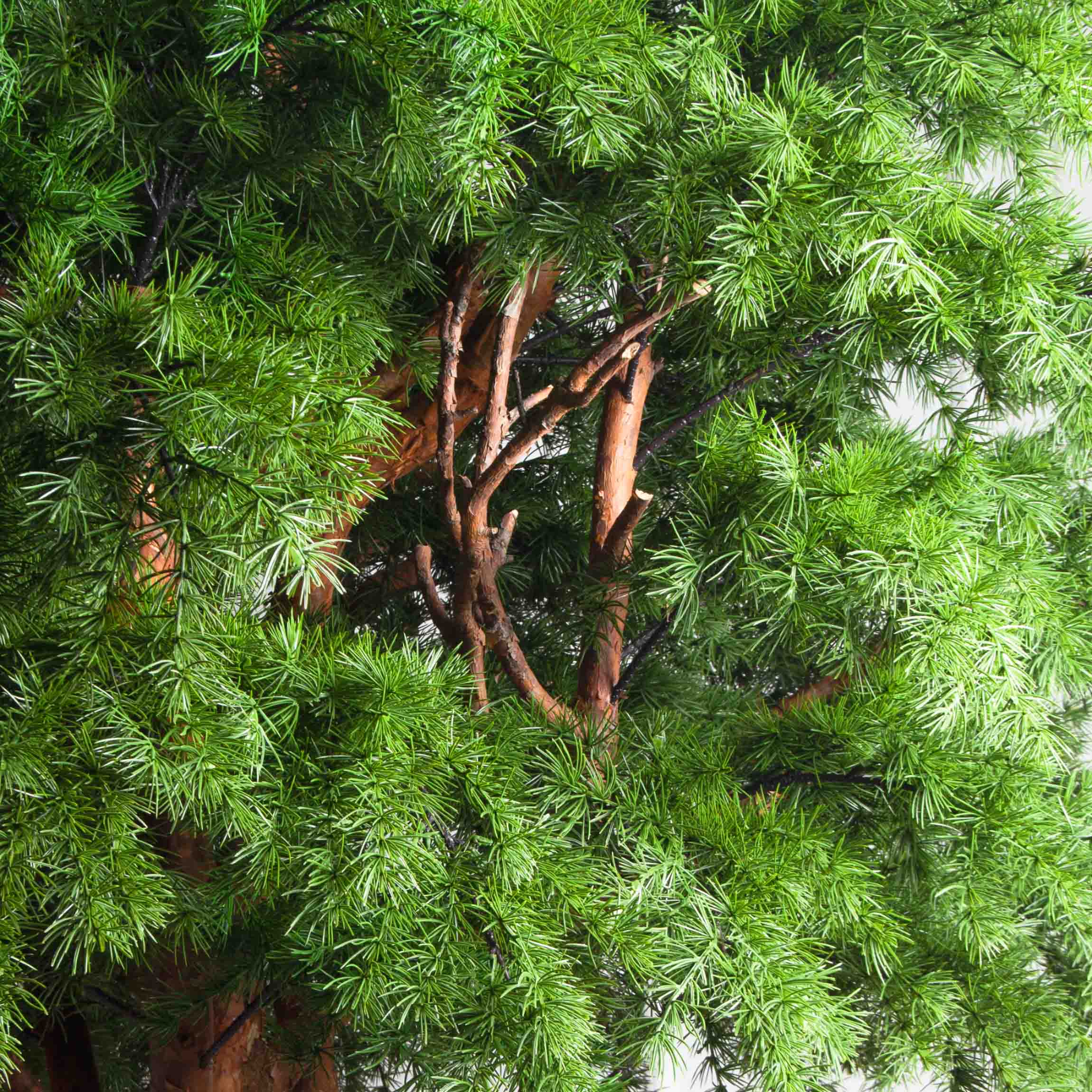 250/СН/310(з)(Пр)(F) Лиственница искусственная h250см d140см_4