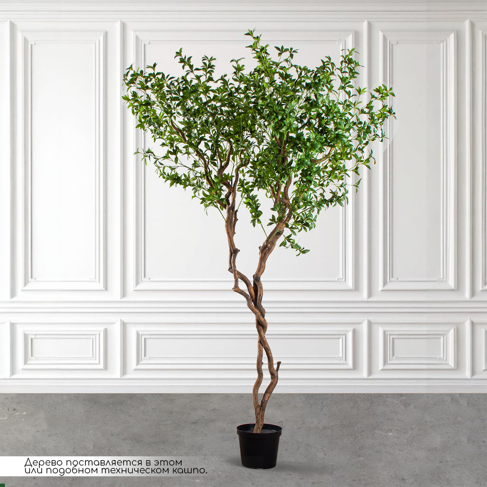 300/ВИТ/АСС/526(з)(УУ)(Пр)(F) Бересклет искусственный h300см_2