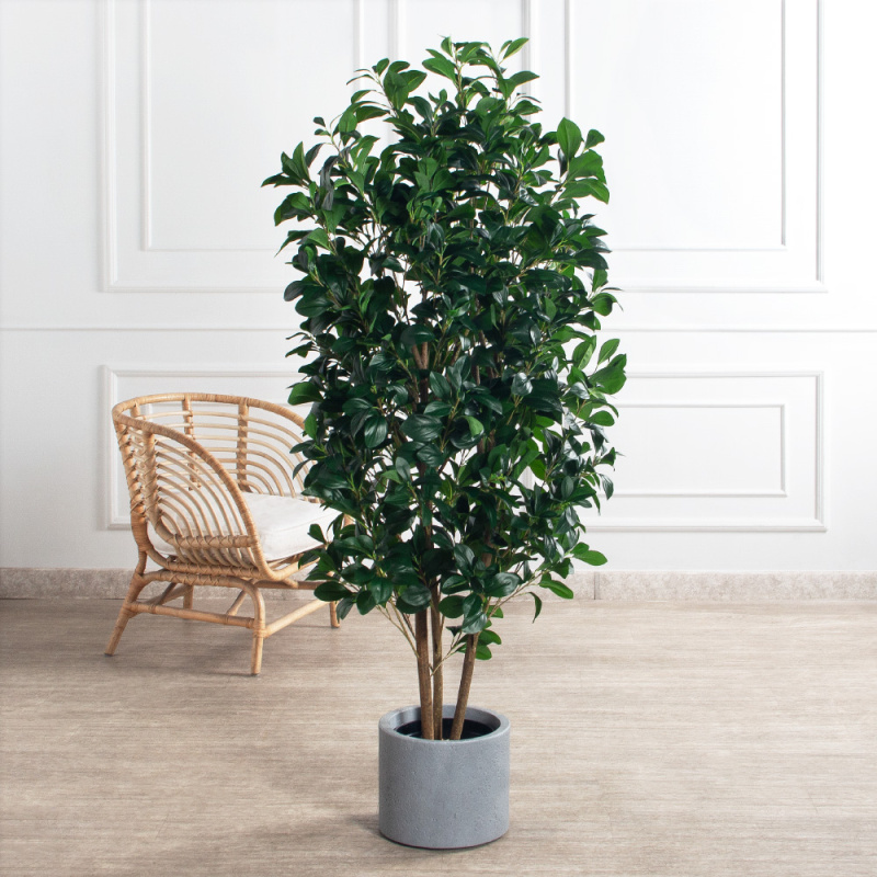 170/РН/64-1(з)(F) Рускус искусственный куст h170см_1