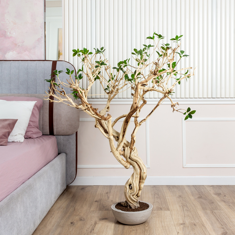 БЛ110/Д3/516ИК(Пр)(F)(Акция) Бонсай искусственный Фикус Микрокарпа h110см в интерьерном кашпо_8