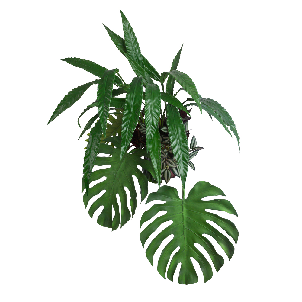 БК 16 Композиция с калатеей и монстерой на блоке 15*h10_2