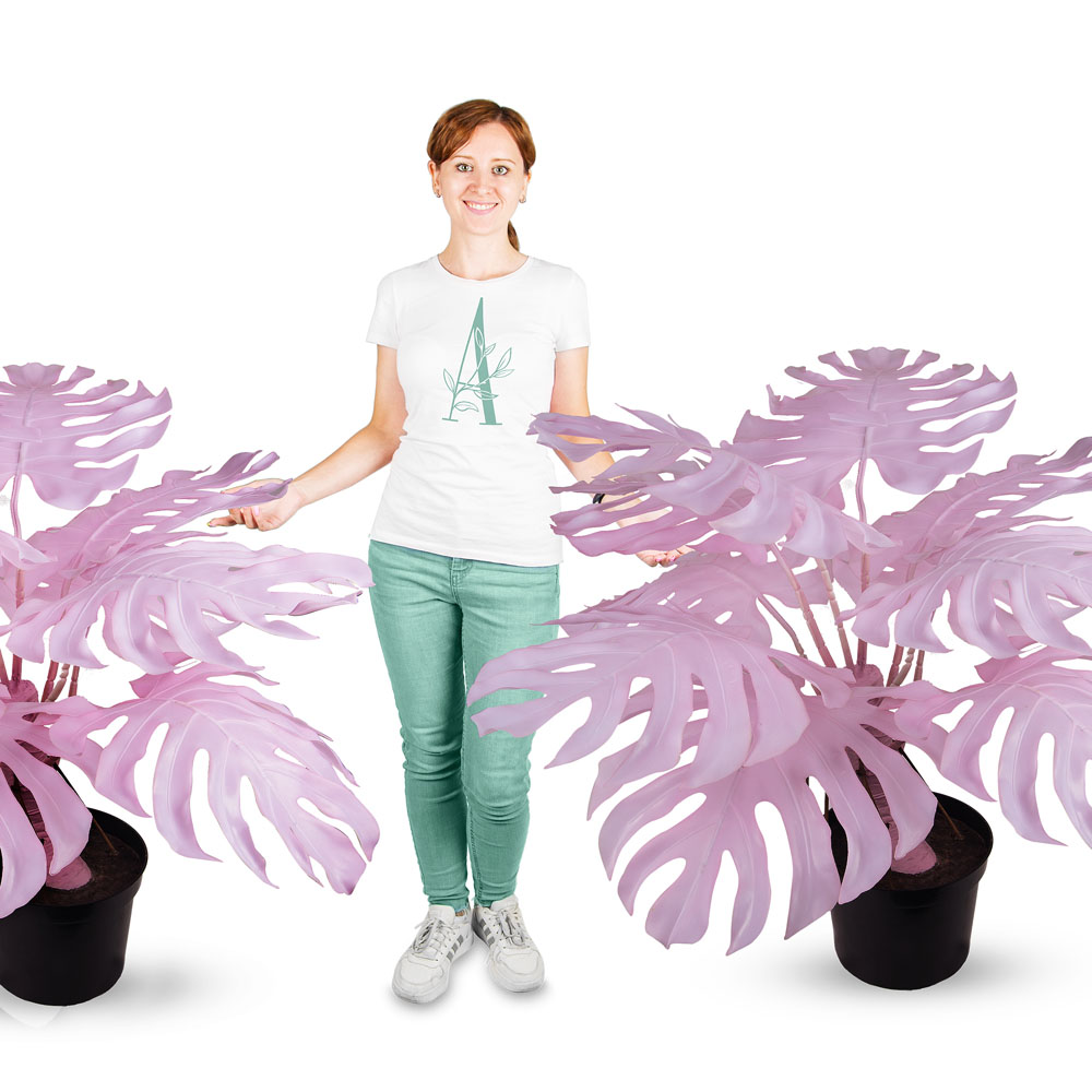 80/К/ССТ/371-2(з.) Монстера розовая на стволе h80см (латекс) _4