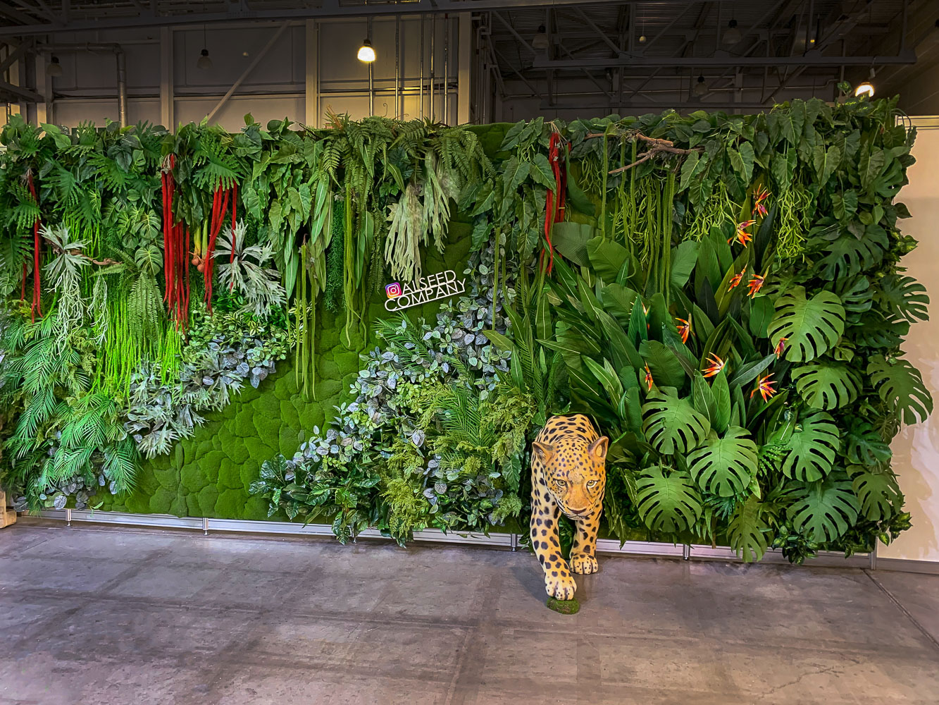 Фитостена 99_5