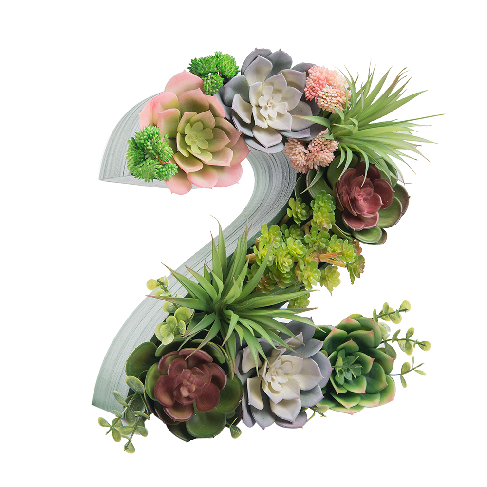 Логотип 1,2,3,4,5 с суккулентами (143*h27см)_5