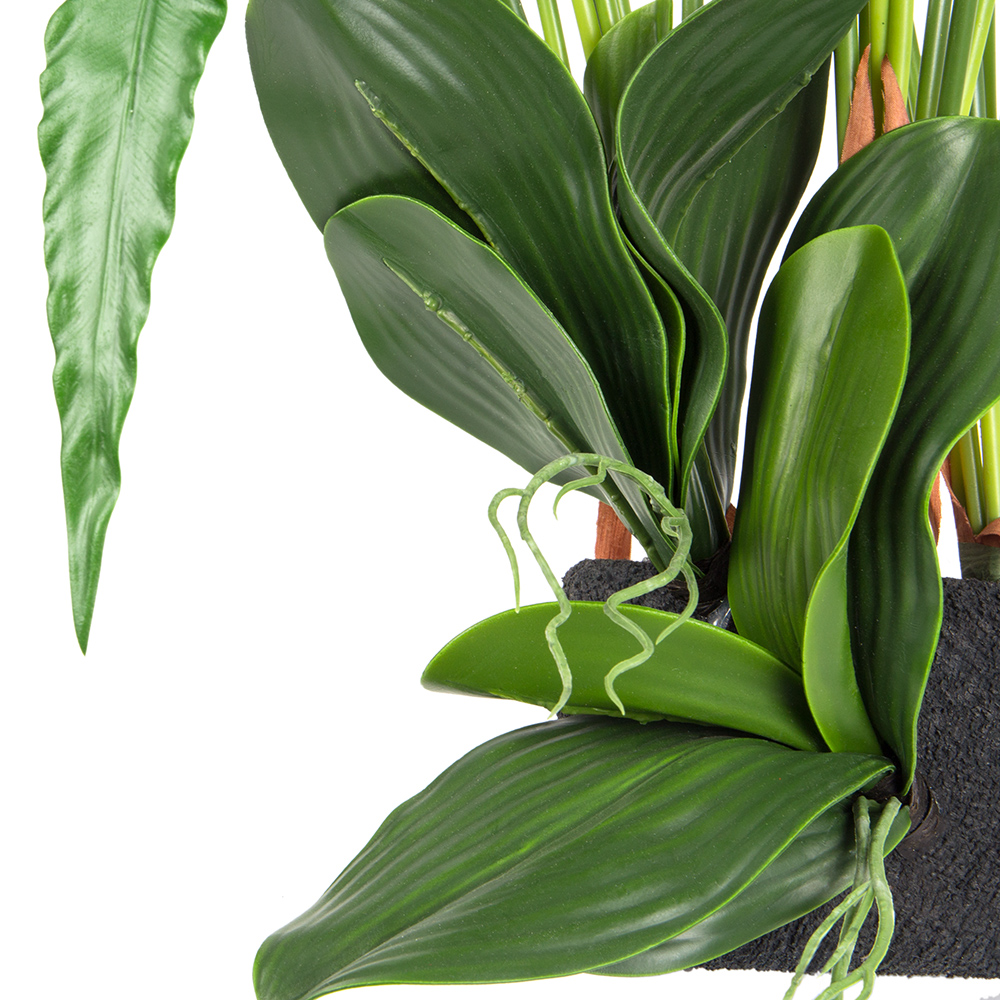 БК 21 Композиция с калатеей на блоке 15*h10_3