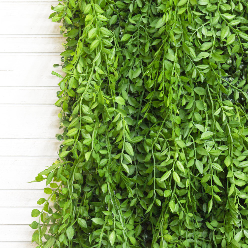 Фитостена 151_1