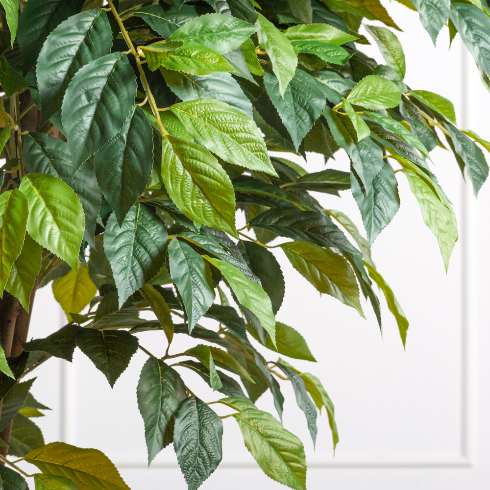 300/РН/537(з)(F) Липа искусственная h300см в кашпо (латекс)_2