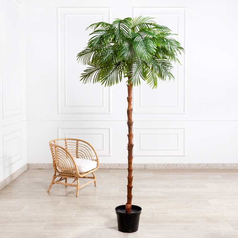 ПС220/50(з)(F) Пальма Арека искусственная h220см, латекс