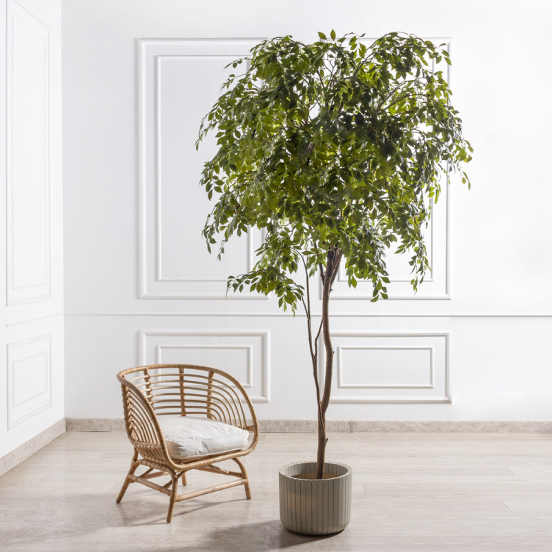 240/РН/605(Пр)(F) Мурайя искусственная  h240см_4