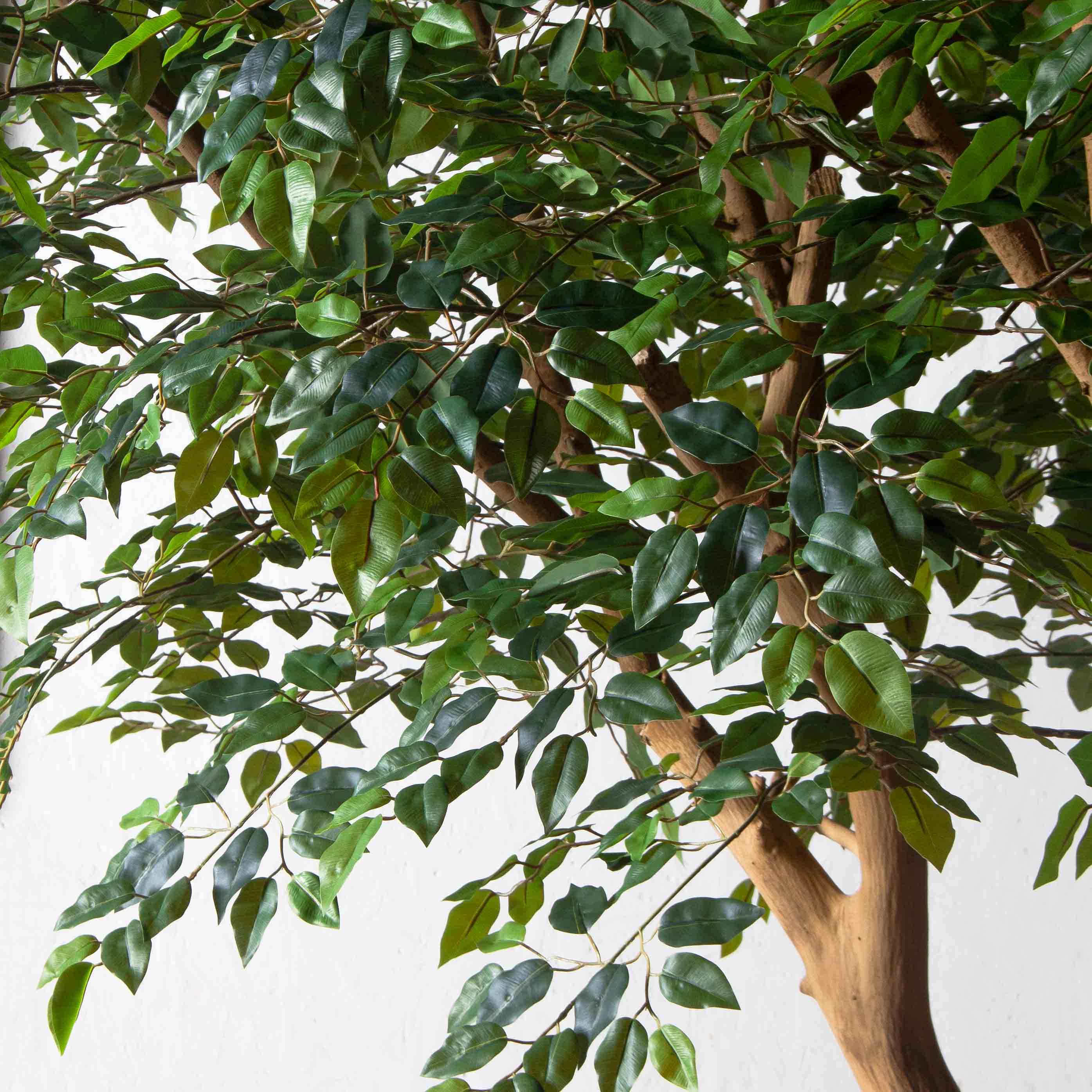 290/ДА/344(Пр)(F)Фикус искусственный h290см_3