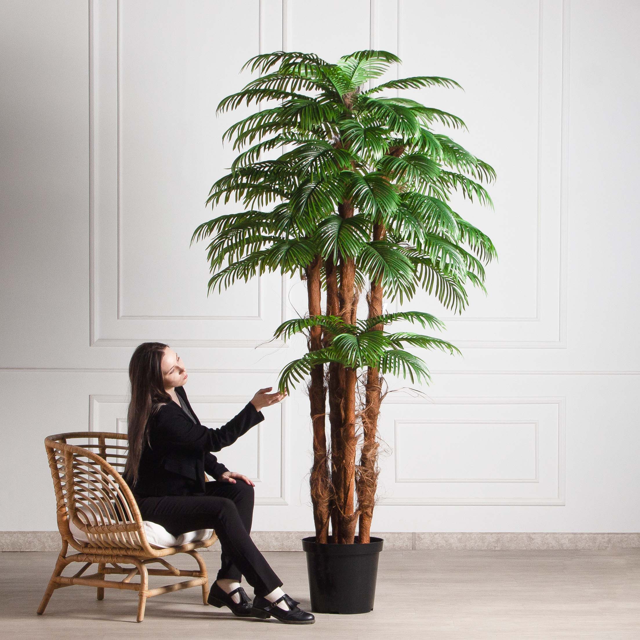 ПС240/5К/49Л(з)(F) Пальма Арека искусственная h240см (латекс)_2