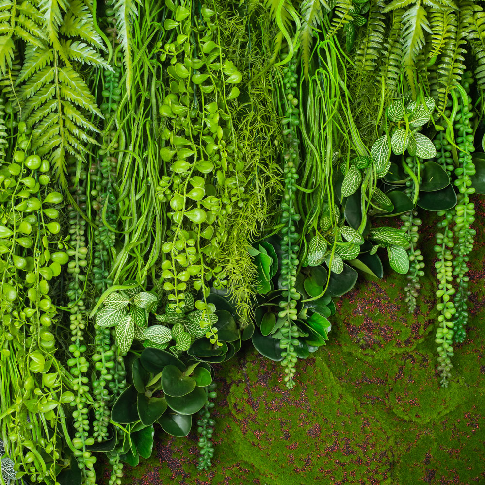 Фитокартина 01 с мшистой дорожкой 100xh123_2_1