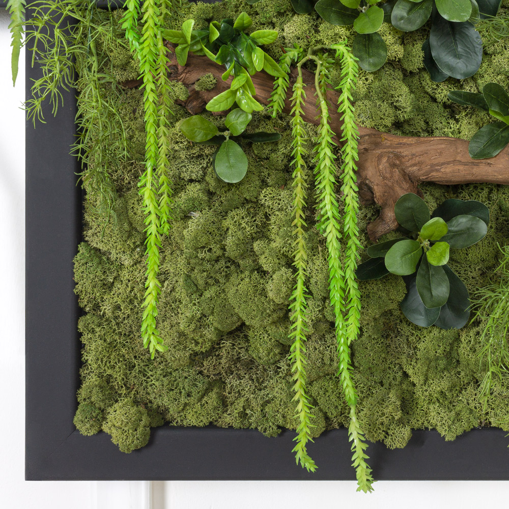 СКФ07-3/1(з.) Фитокартина искусств.со стабилизир.мхом 110хh80см_3