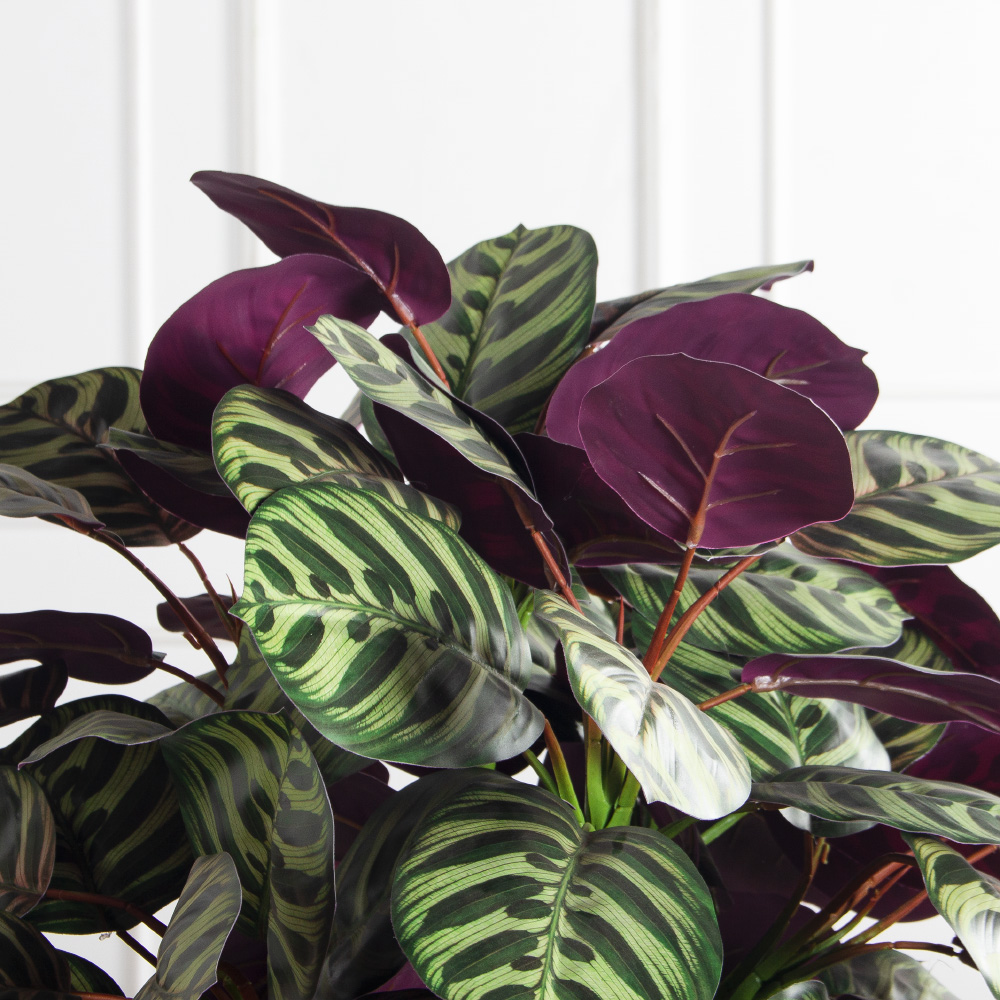 070/К/206(Пр)(F) Калатея искусственная h70см, зелено-фиолетовая_4