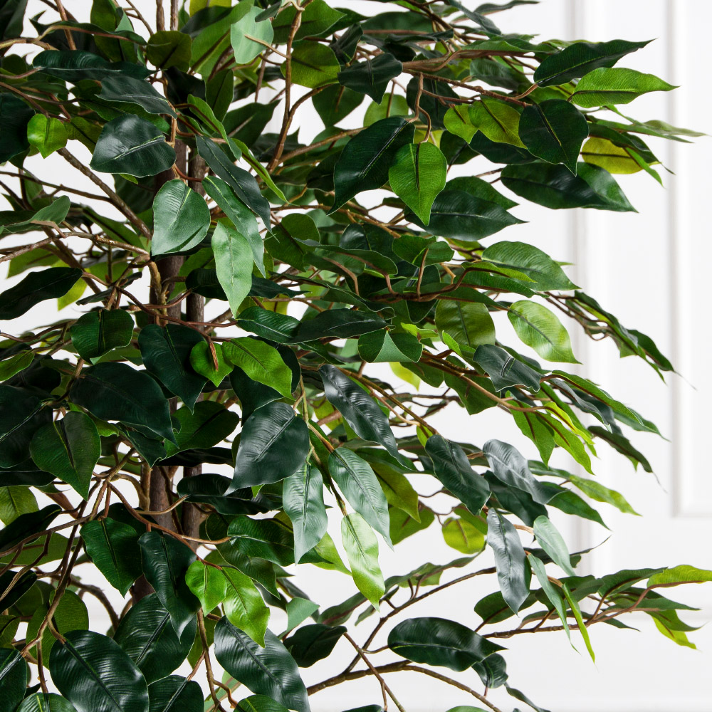 180/РН/ЭК/34(Пр)(F) Фикус искусственный h180см,(латекс)_3